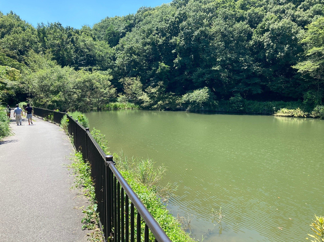 Hatchoko Park-吉见町必去景点