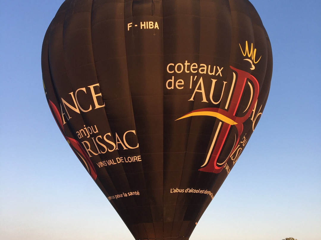 Montgolfieres D'anjou景点图片