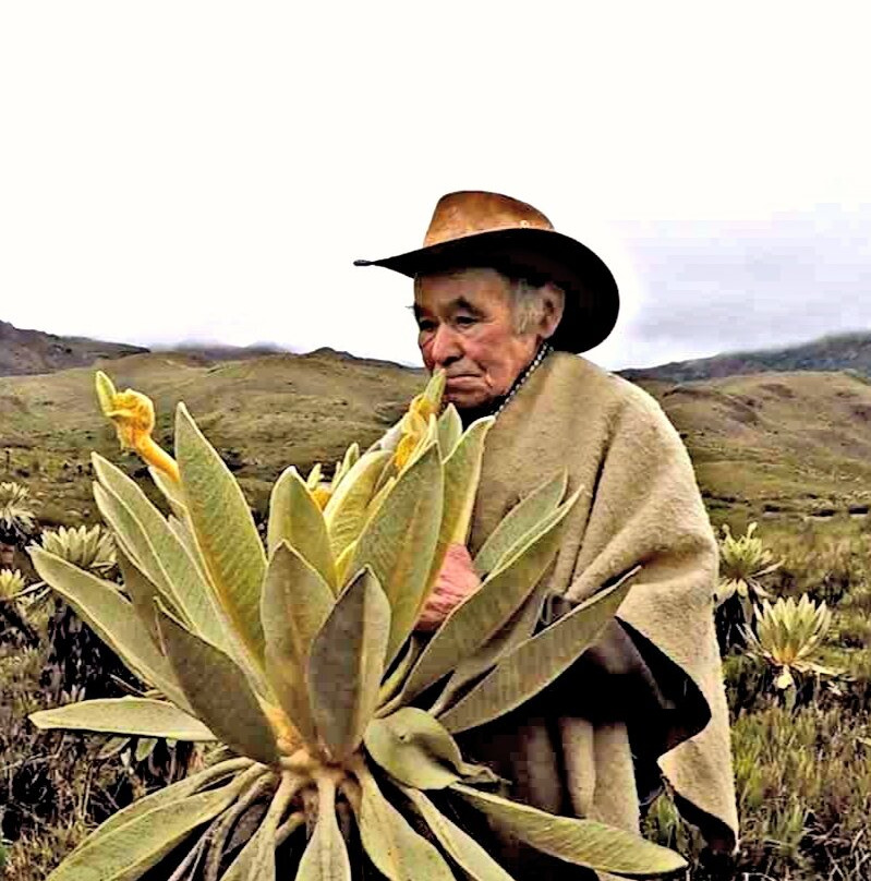 Paque Nacional Farallones de Cali-卡利必去景点