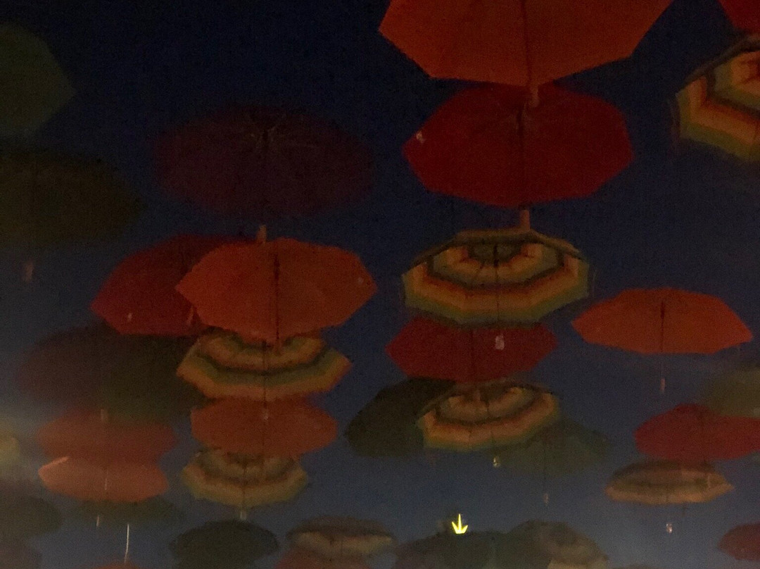 OWA Parks & Resort-弗利必去景点