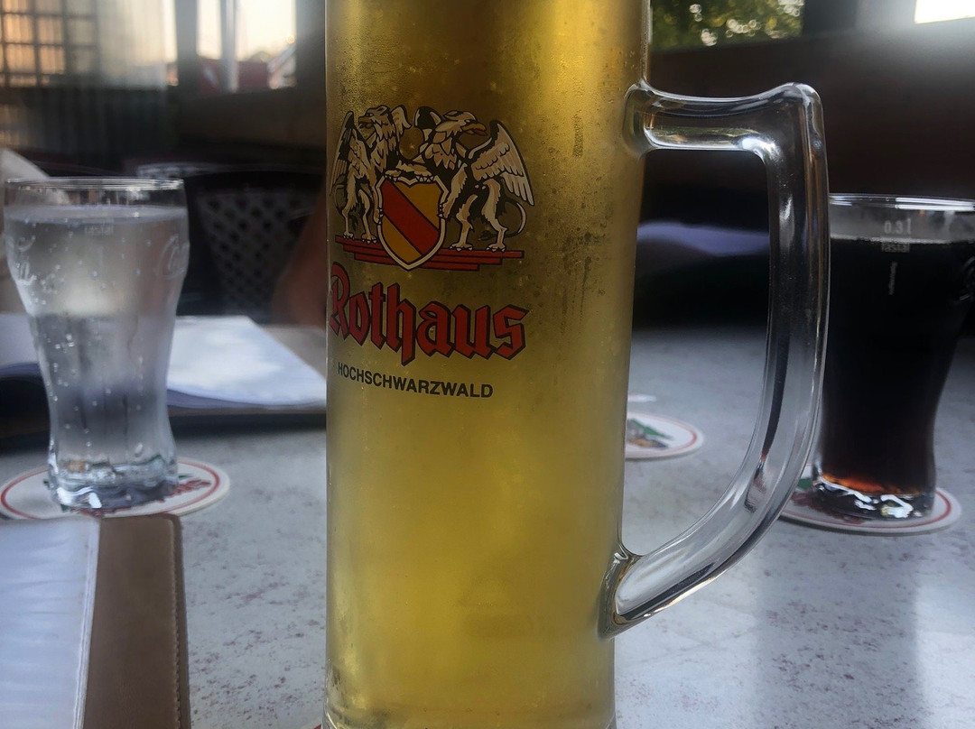 盖斯特豪斯祖尔索奈酒店主图