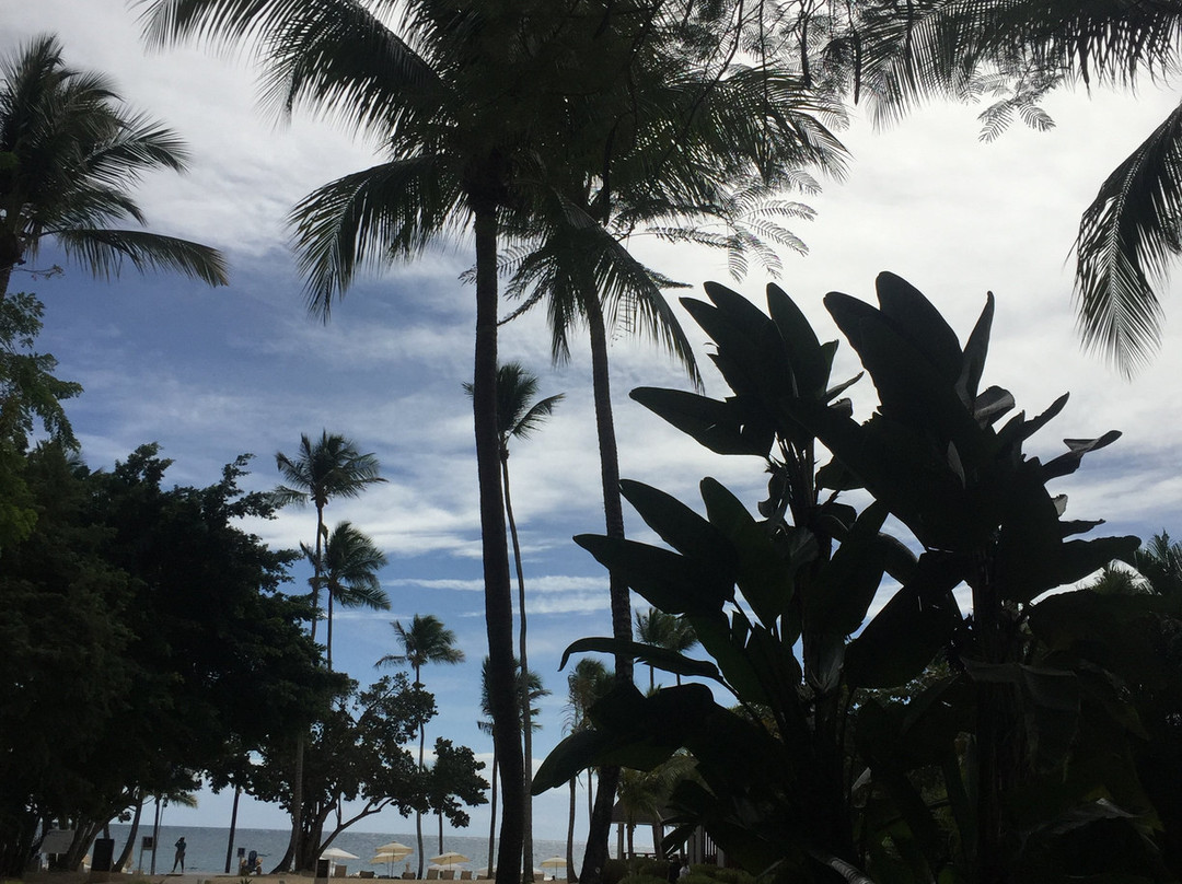 Minitas Beach景点图片