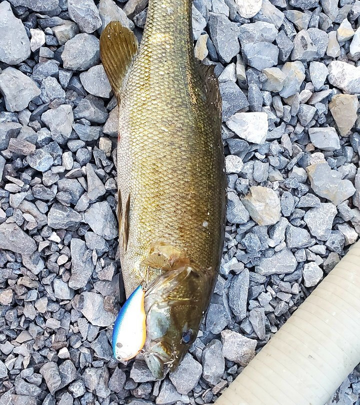 Mountain Harbor Marina-Dandridge必去景点