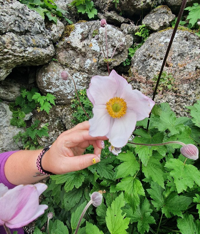 Aysgarth Edwardian Rock Garden景点图片