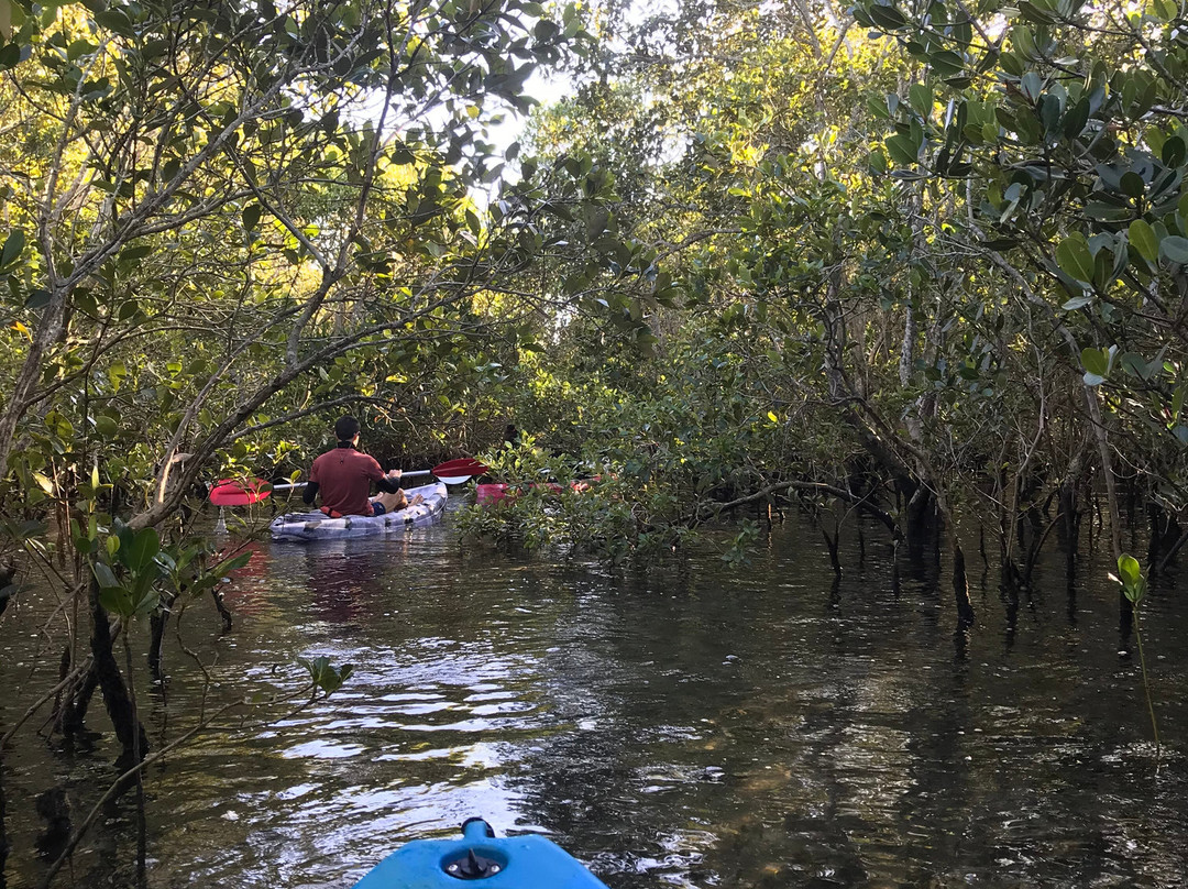 Straddie Adventures-North Stradbroke Island必去景点