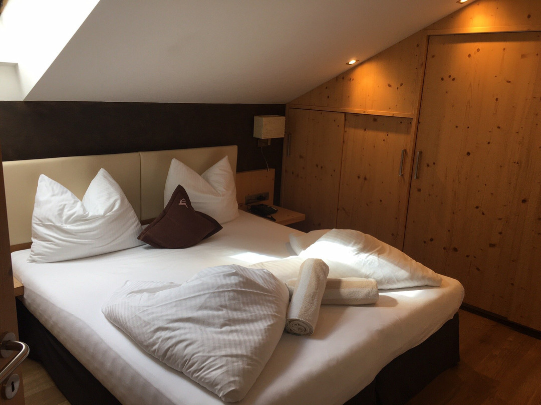 Residence Hotel Alpinum主图