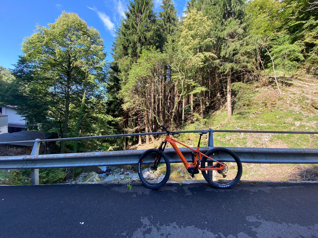 Ghisallo Rent Bike景点图片