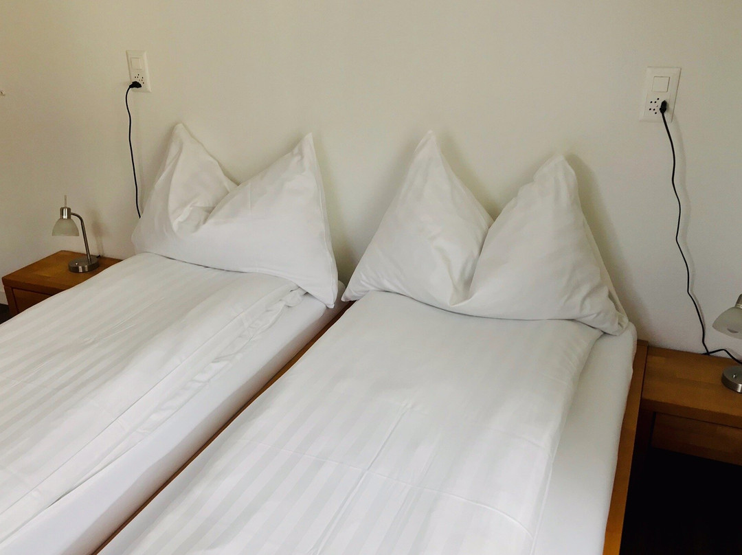 Hotel Frieden主图
