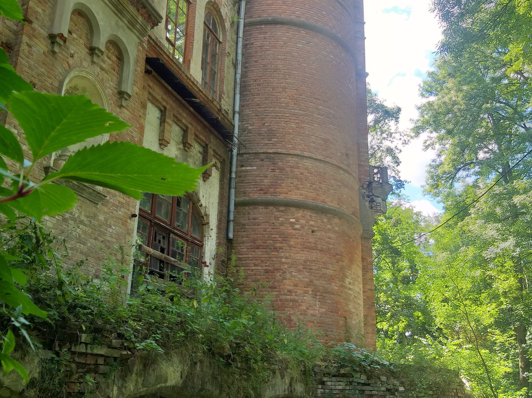 Les’kovo旅游攻略图片