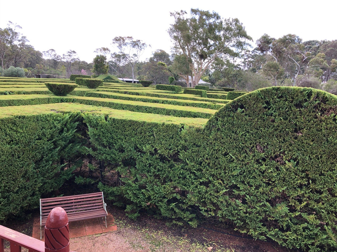 Boranup Forest Maze景点图片
