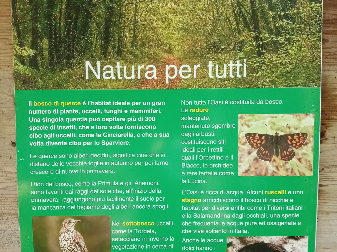 Oasi LIPU - Riserva Naturale Bosco Casale景点图片