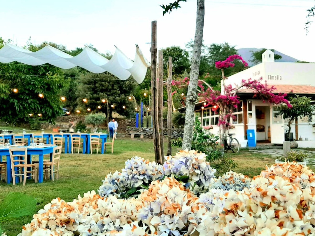 La Casa Di Amelia