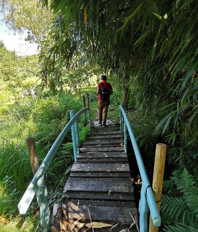 Arboretum Al Gaulhia景点图片