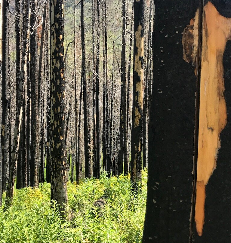 布莱基斯顿瀑布景点图片