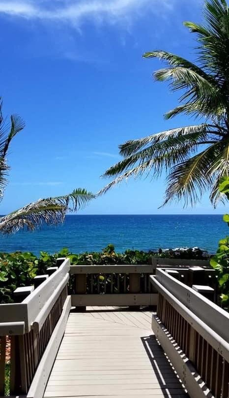 Red Reef Park-博卡拉顿必去景点