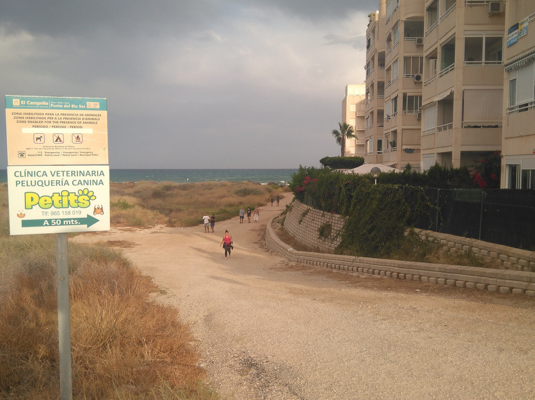 Playa De Perros Campello-El Campello必去景点