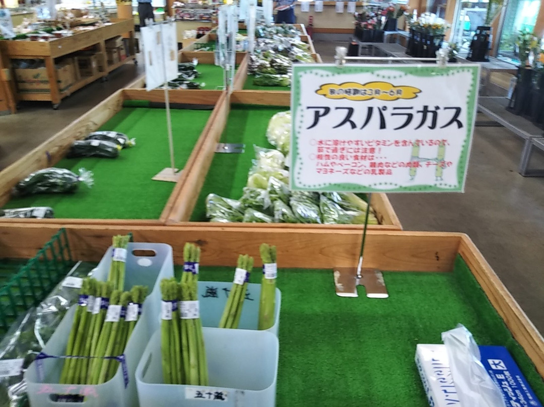 Aguri Land-寒河江市必去景点