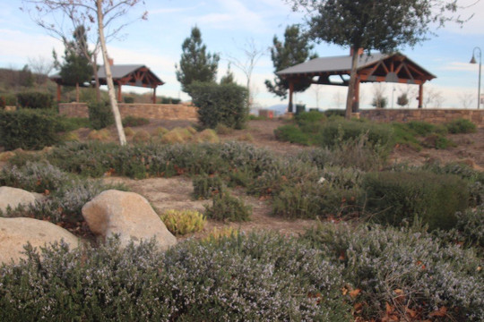 City of Menifee-City Hall-Menifee必去景点