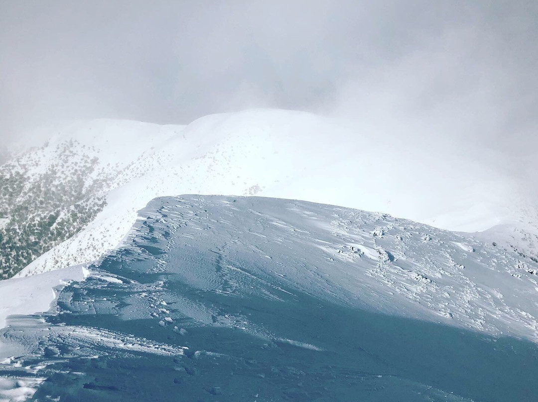Bungalow Spur Hiking Trail-Harrietville必去景点