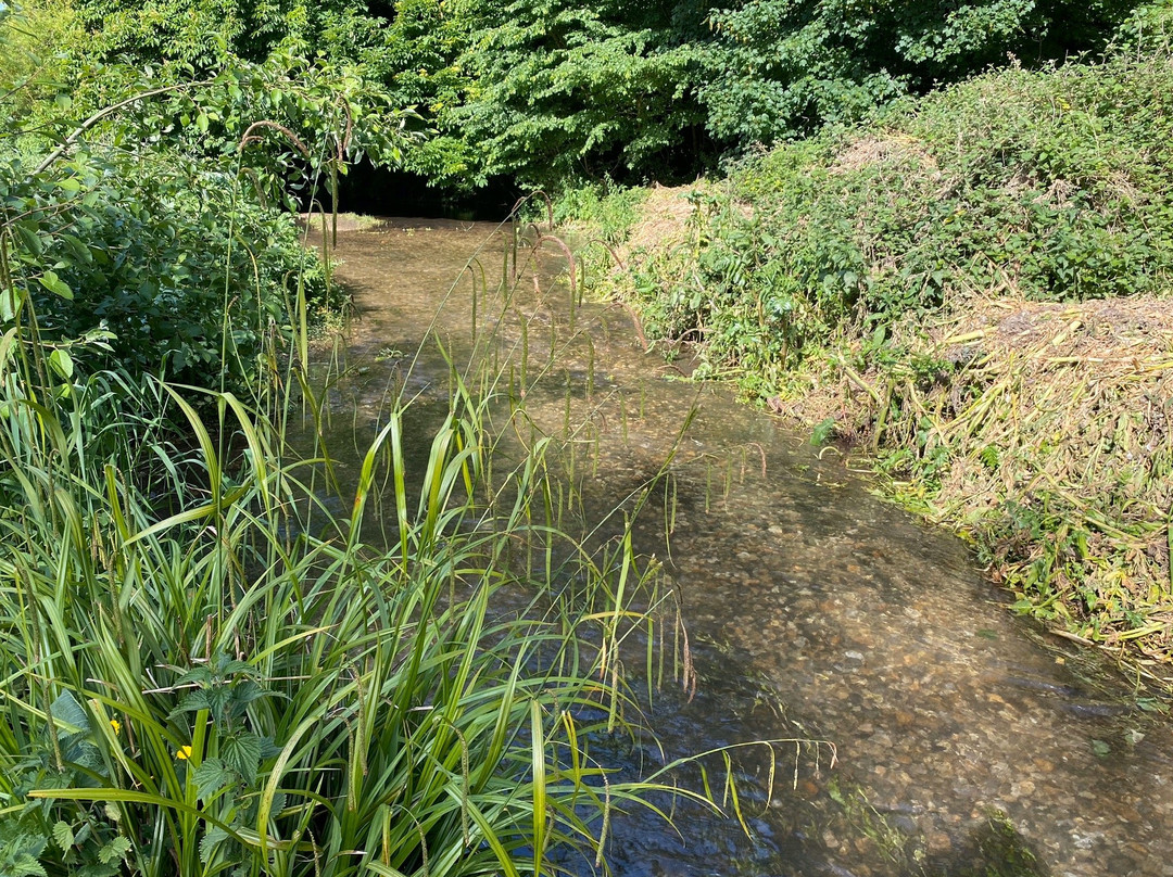 Flood Meadows景点图片