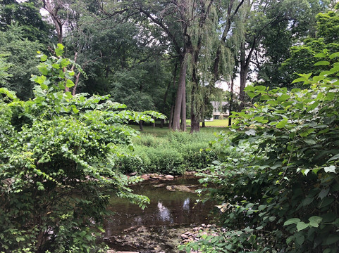 Saddle River County Park-萨德尔布鲁克必去景点