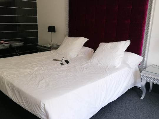 两只狮子酒店主图