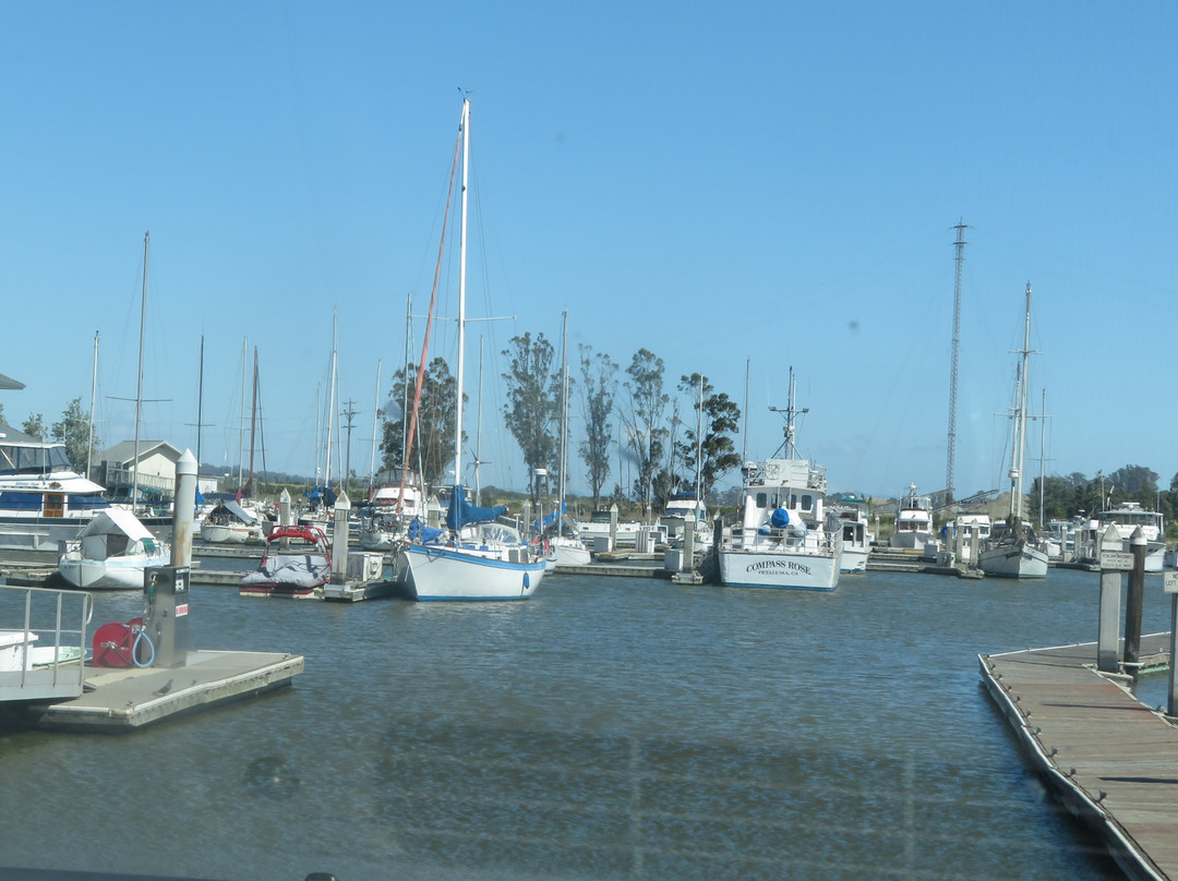 Marina and Turning Basin-佩塔卢马必去景点