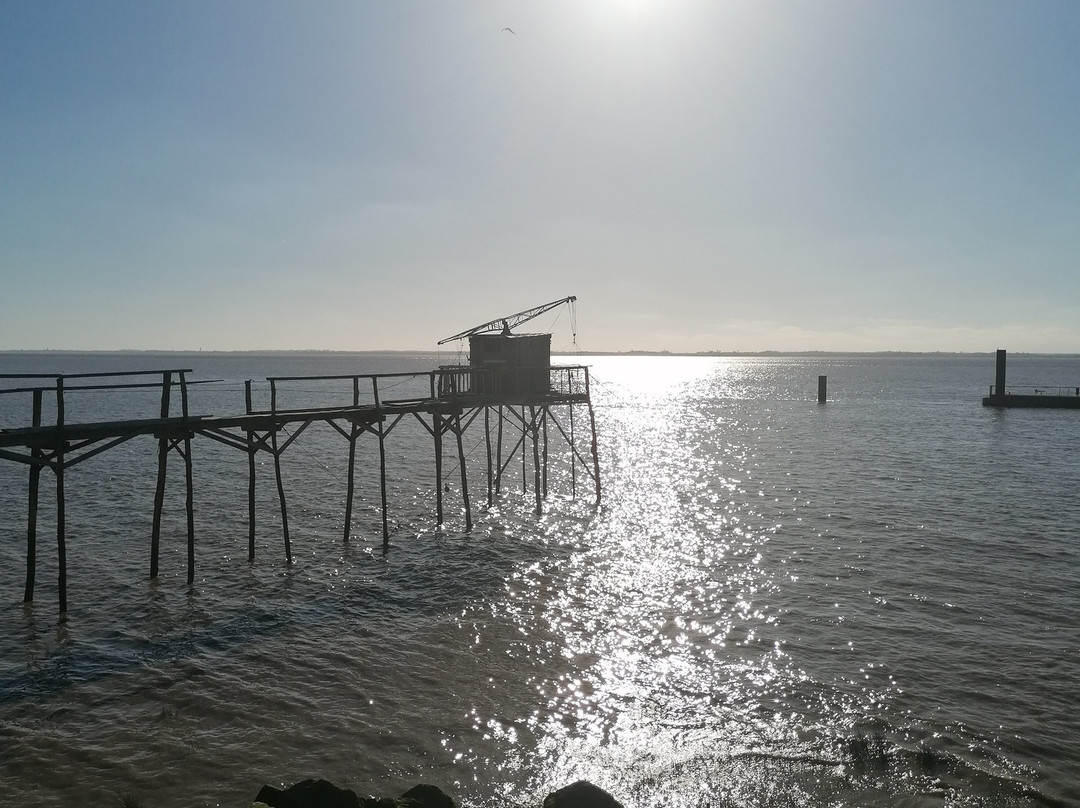 Le Petit Radieux主图