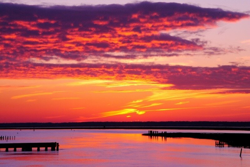 Sea Rocket Chincoteague Island-钦科蒂格岛必去景点