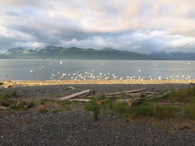 Land's End Resort主图