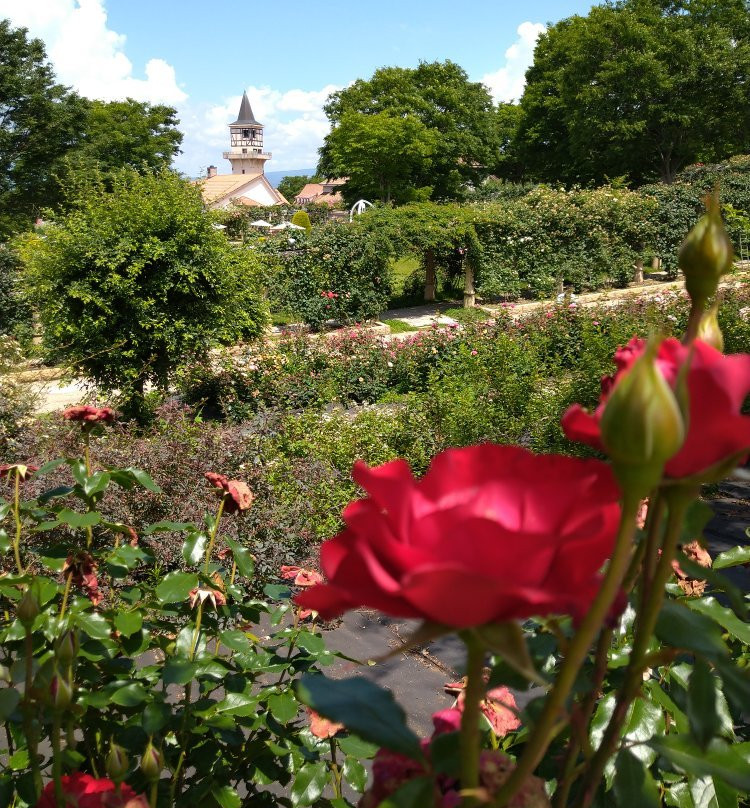 Heidi’s Village景点图片