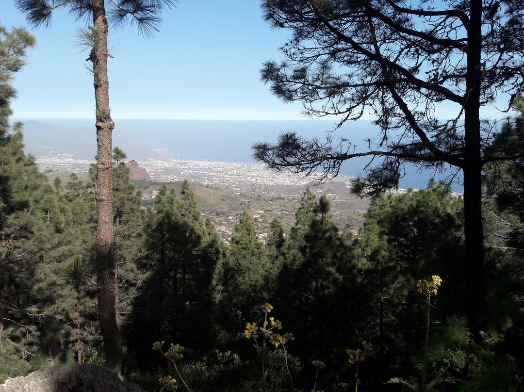 Mirador Pico del Ingles景点图片