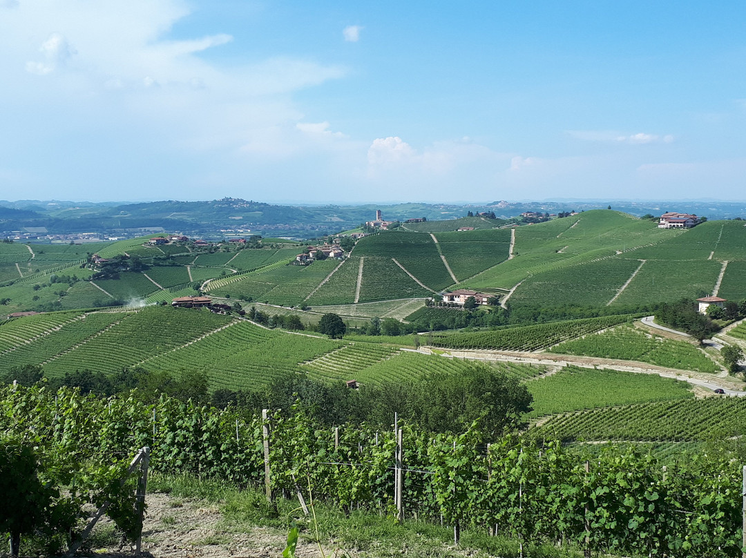 Azienda Agricola Rusél景点图片