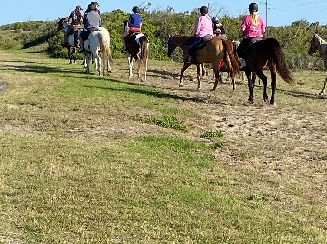 Outer Banks Horseback景点图片