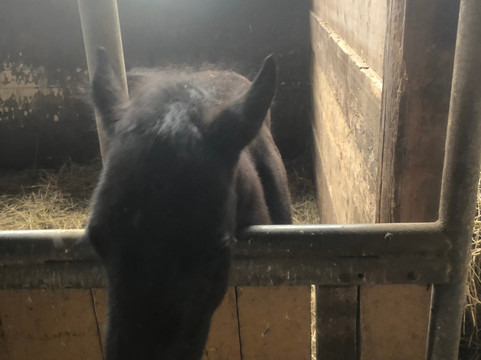 Seebarn旅游攻略图片