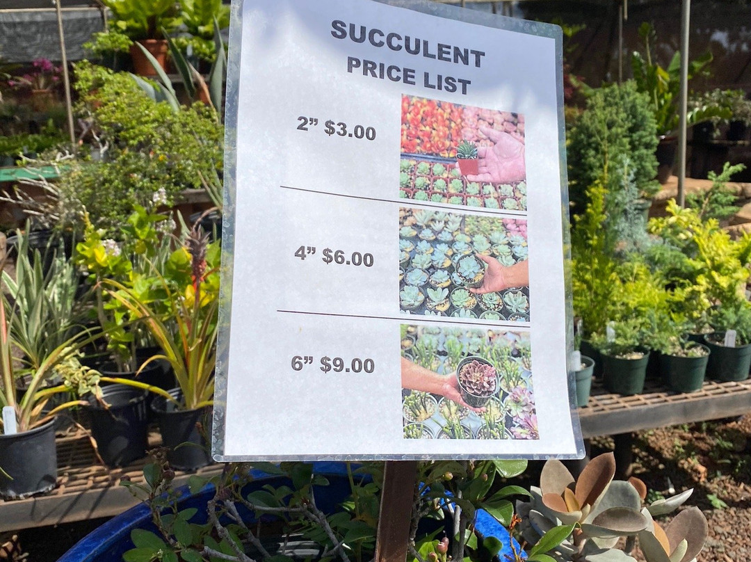 Mari's Gardens-米里拉尼必去景点