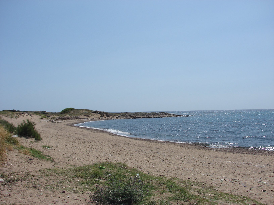 Troas Antik Liman景点图片