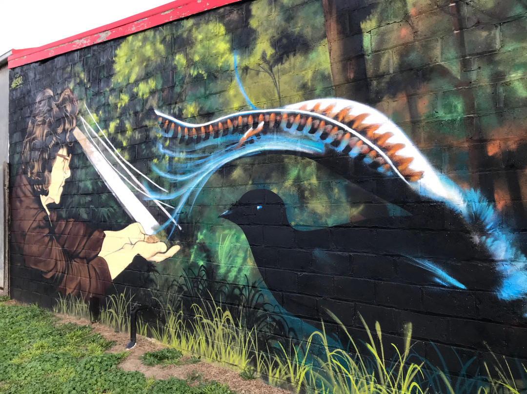 Heesco's Murals-Yarram必去景点