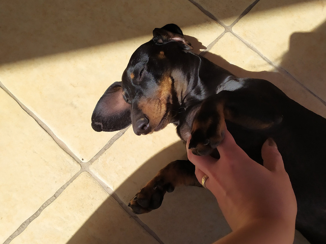 Paulay Winehouse主图