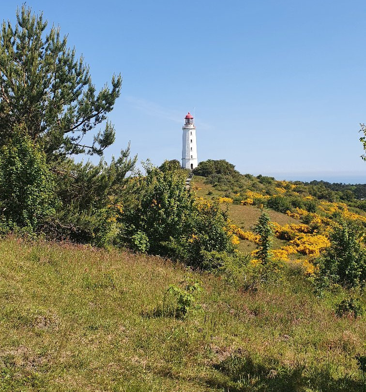 Dornbusch Lighthouse景点图片