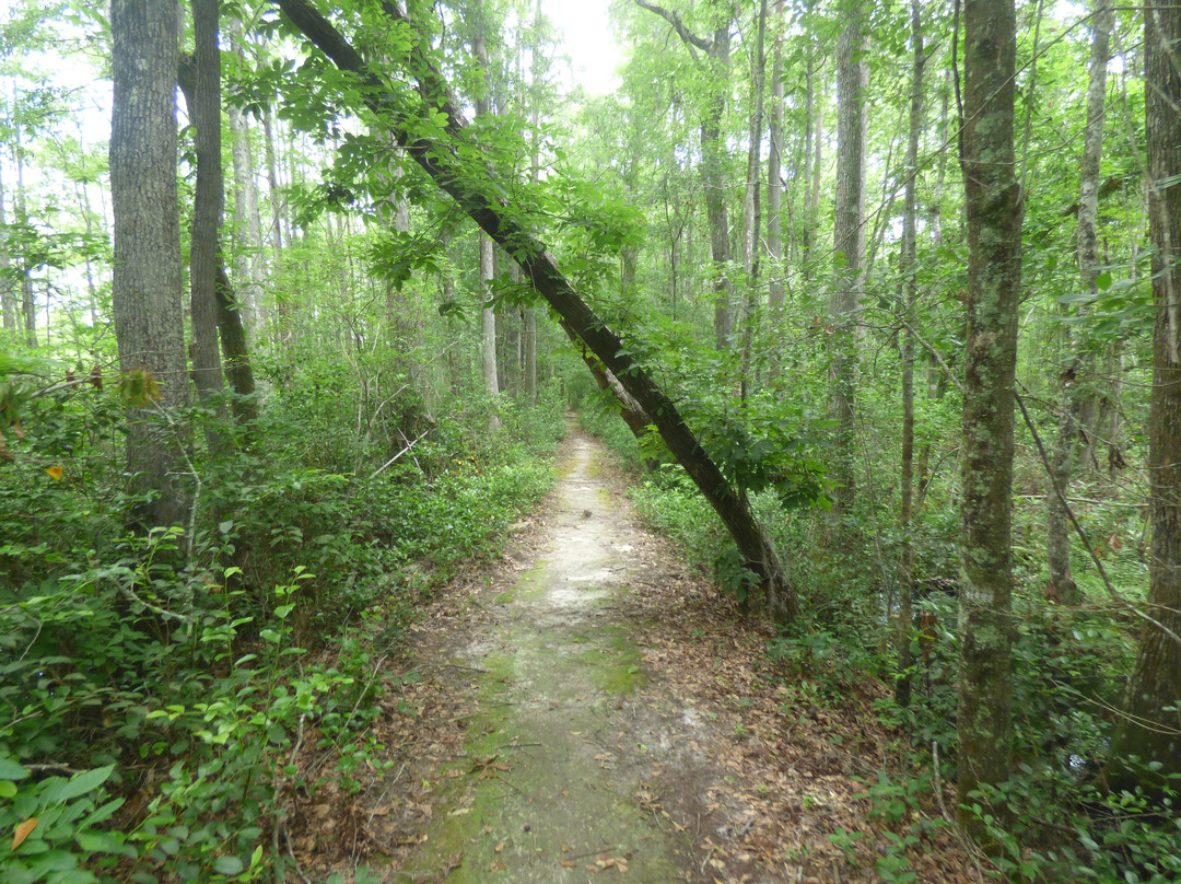 Woods Bay State Park景点图片