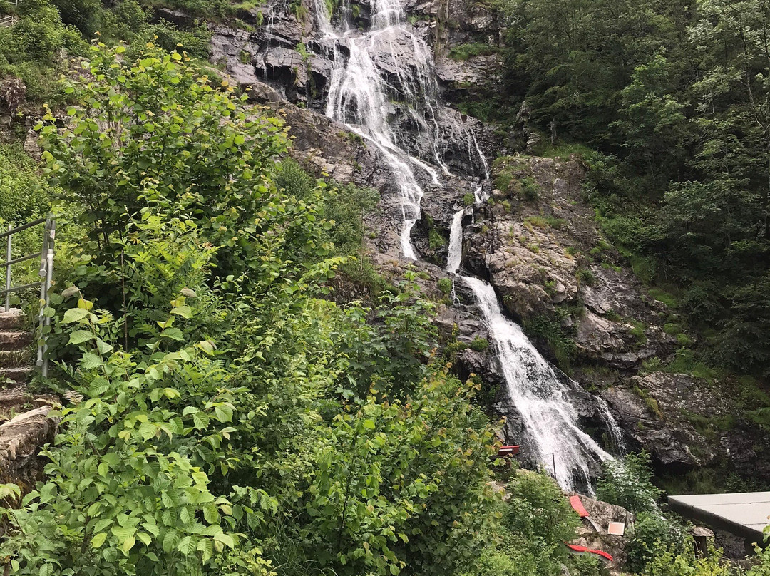 Todtnau Waterfalls景点图片