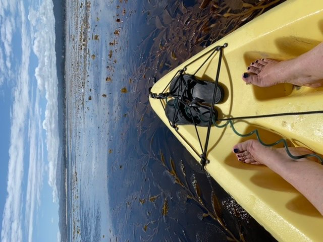 Monterey Bay Kayaks-蒙特雷必去景点
