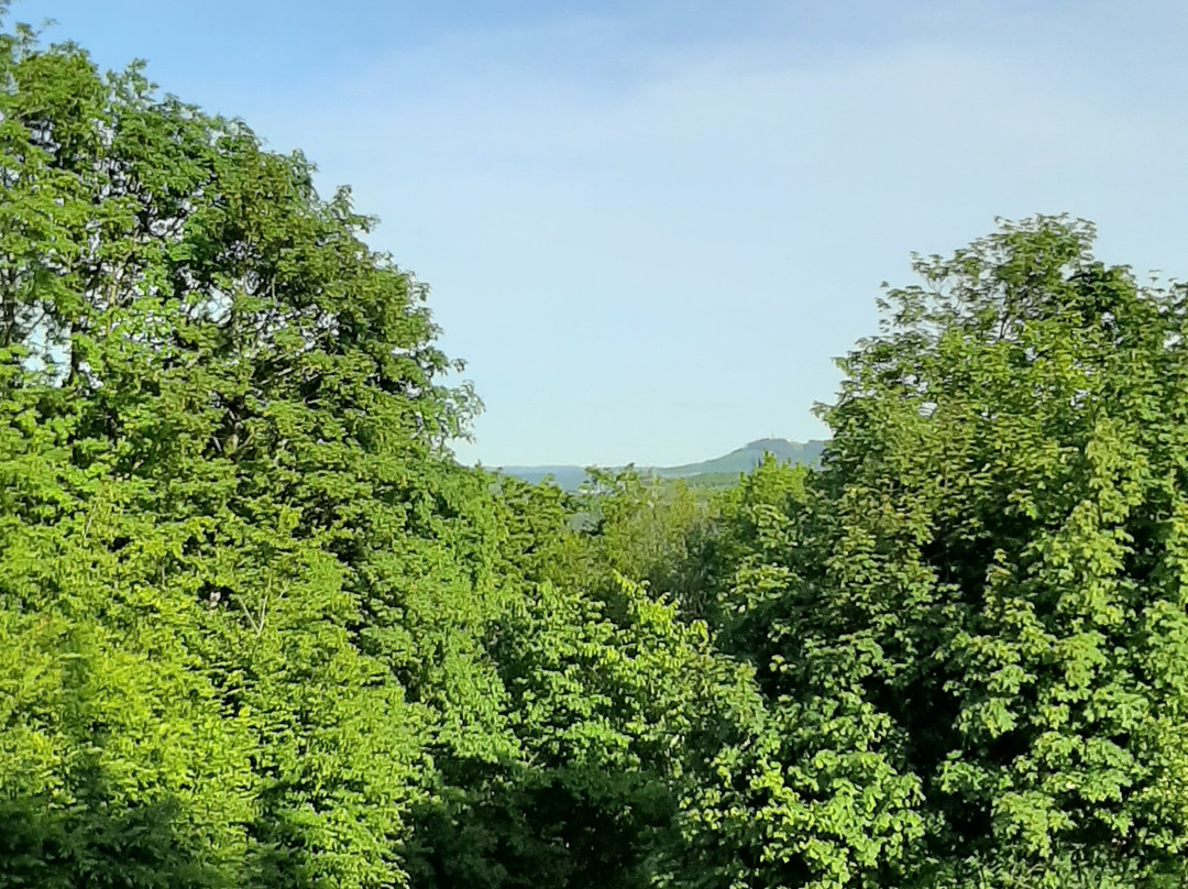 Burgruine Eversberg景点图片
