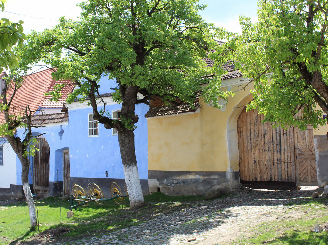 Village de Viscri-Viscri必去景点
