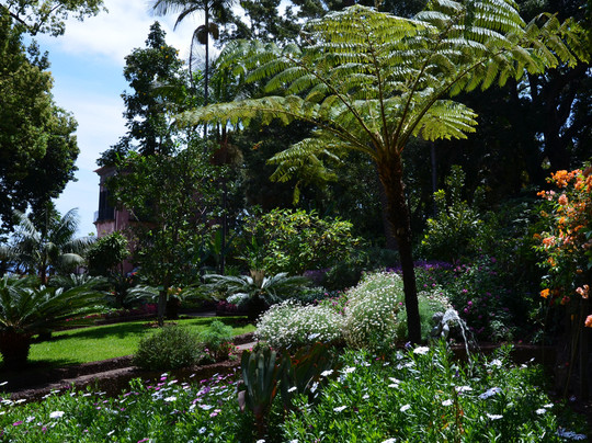 Quinta Vigia-沙尔必去景点