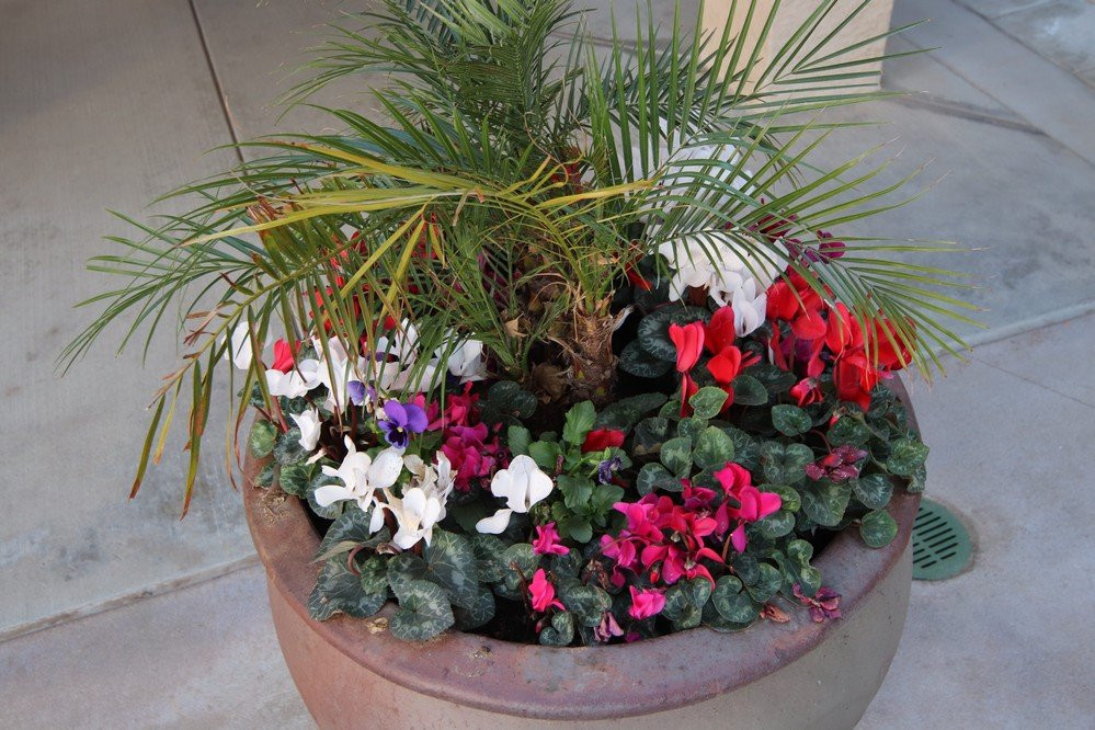 Calvary Chapel High Desert-希斯皮里亚必去景点