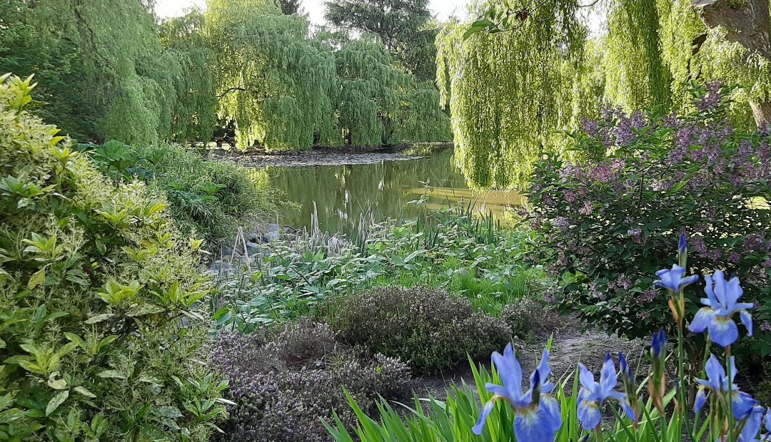 Minoru Park景点图片