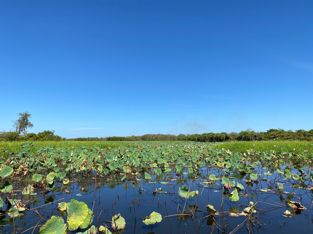Corroboree Billabong-Marrakai必去景点