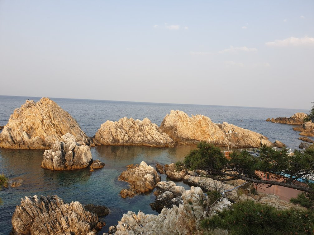 Jangho Port-三陟市必去景点